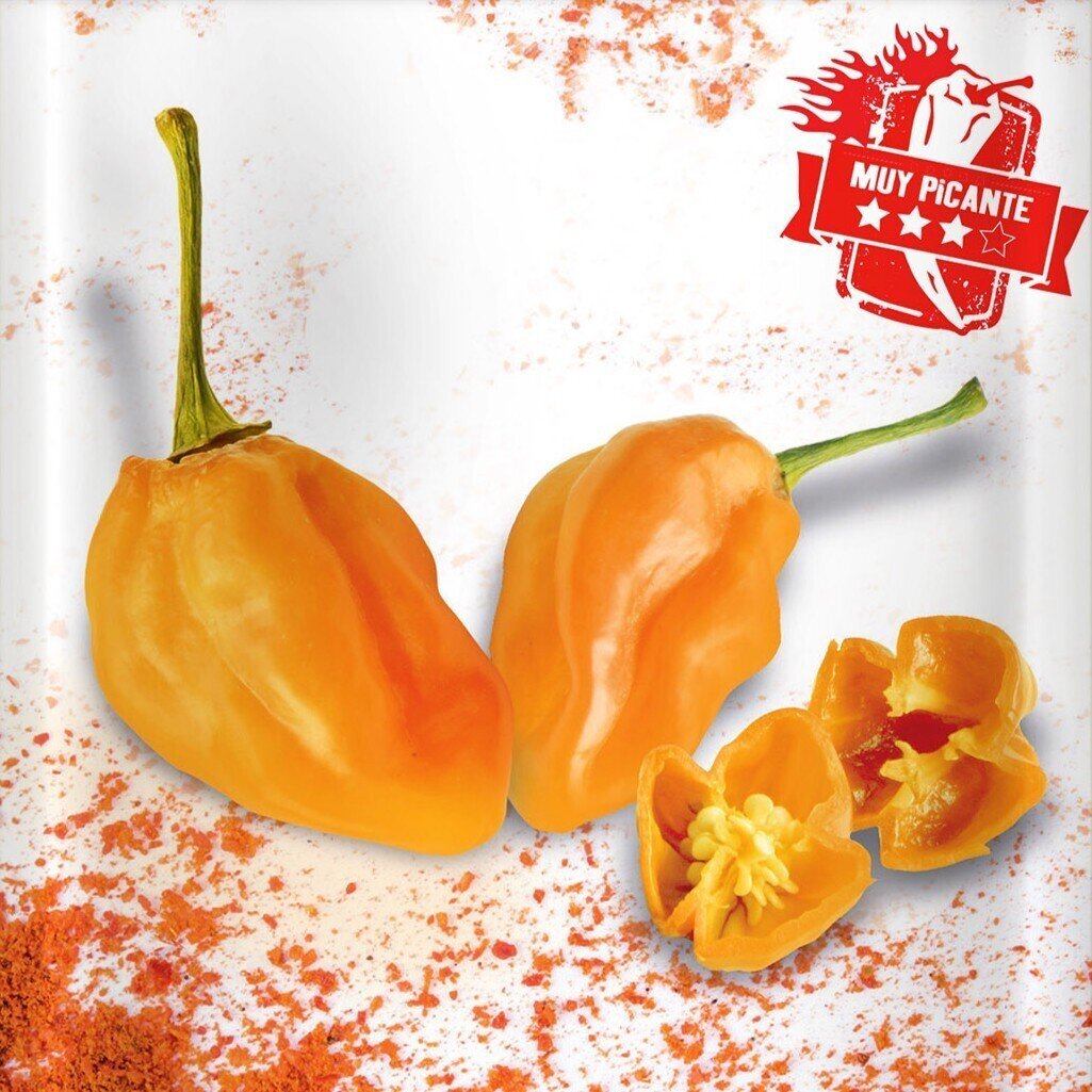 Capsicum chinense 'Habanero Naranja' (pimiento habanero naranja) - Semillas
