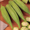 Abelmoschus esculentus (okra) - Semillas