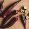 Abelmoschus esculentus 'Burgundy' (okra Burgundy) - Semillas