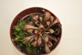 Drosera bostwana