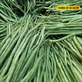 Vigna unguiculata subsp. sesquipedalis (judía de enrame ‘de metro’) - Semillas