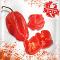 Capsicum chinense 'Habanero Red Caribbean' (pimiento habanero rojo) - Semillas