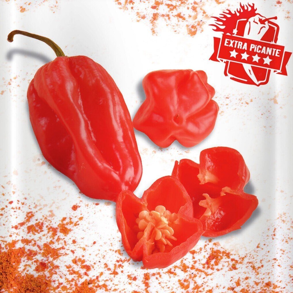 Capsicum chinense 'Habanero Red Caribbean' (pimiento habanero rojo) - Semillas